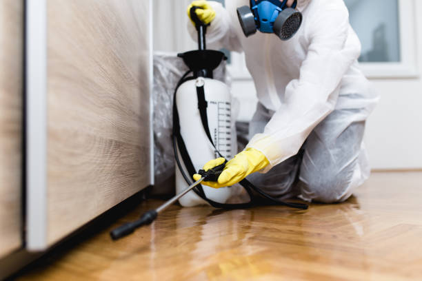 Best Wasp Removal Services  in Fairview, TN