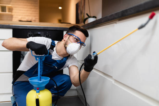 Best Residential Pest Control  in Fairview, TN