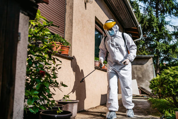 Best Emergency Pest Control  in Fairview, TN