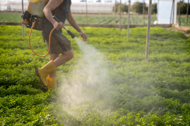 Best Exterminator Services  in Fairview, TN