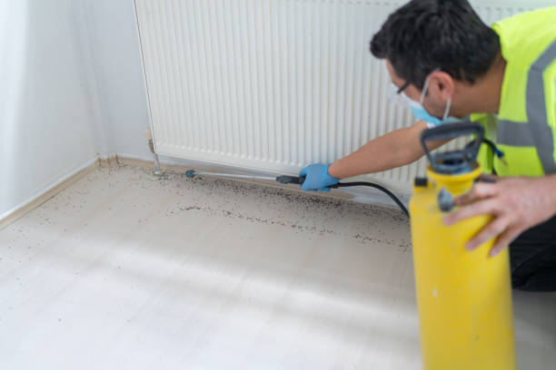 Best Pest Removal Services  in Fairview, TN