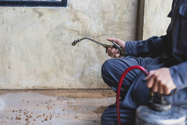 Best Pest Control Near Me  in Fairview, TN